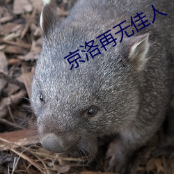 九游会登录j9入口 - 中国官方网站 | 真人游戏第一品牌