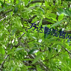 尊龙凯时·(中国)官方网站