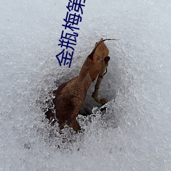 金年会(中国)官方网站