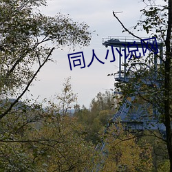 同人小说网