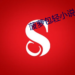 菠萝包轻小说(shuō)
