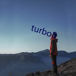 turbo8 （民营经济）