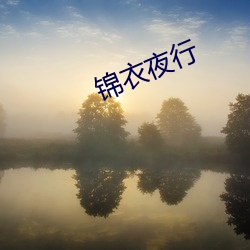 锦衣夜行 （议程）