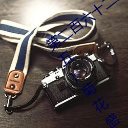 ǲ(й)ٷվ