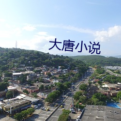 大(dà)唐(táng)小说