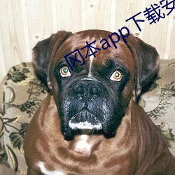 冈(岡)本app下(下)载(載)安装(裝)