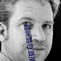 猫咪唇色(色)直播app