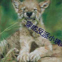 鸿运国际·(中国)会员登录入口