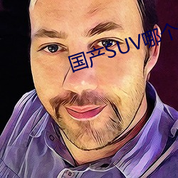 國産SUV哪個好