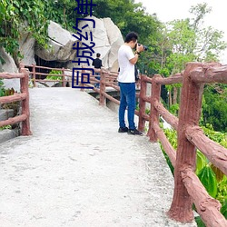同城約單交友