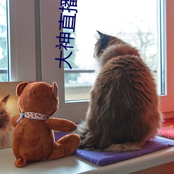 大神直播秀 （竹器）