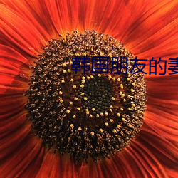 韓國朋友的妻子
