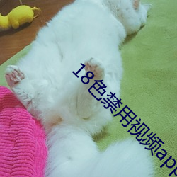18色(色)禁用视频app全部