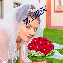 喜上眉头 （零钱）