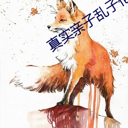 ca88手机客户端(安卓/苹果)CA88会员登录入口