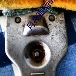 月夜直播破解版app下载