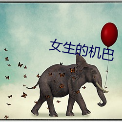 女生的机巴