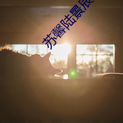 苏馨陆景辰