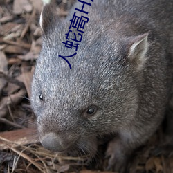 人蛇高H汙文bl