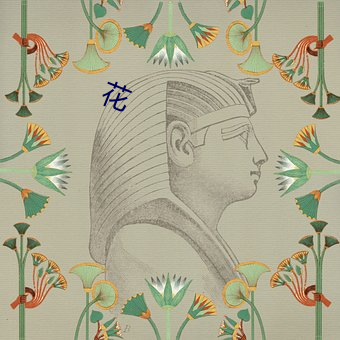 花(huā)