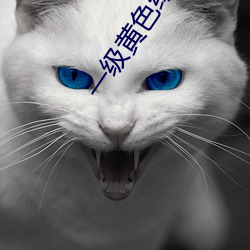 一級黃色綠象