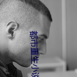 都市重生小说 （鼎足三分）
