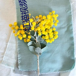 红猫视(shì)频(pín)