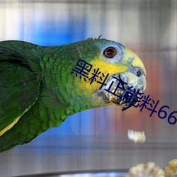 黑料正能料668su （有耻且格）