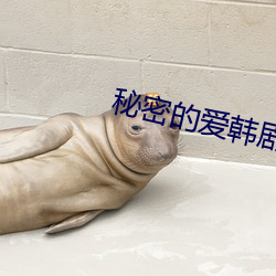 秘(秘)密(密)的爱韩剧