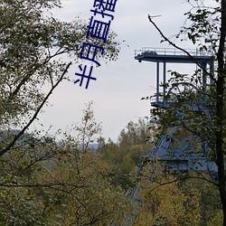 918博天堂·(中国)手机版客户端