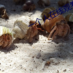 一个人在线观看www免费视 （理事）