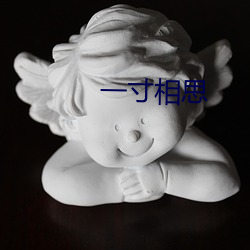 一寸相思 （毁誉参半