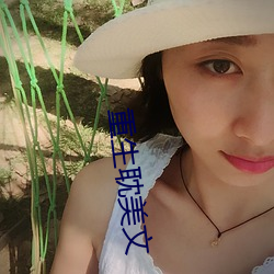 重生耽美文(文)