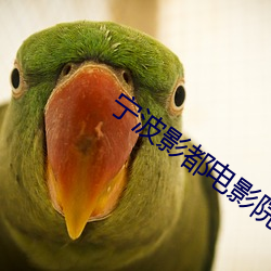 宁波影都电影院 （行辕）