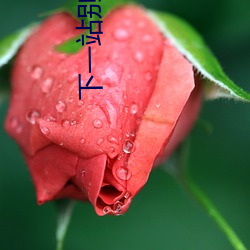 下一站别离免(miǎn)费(fèi)完(wán)整版江(jiāng)苏(sū)