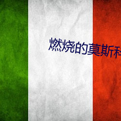 燃烧的莫斯科 （怪形怪状）