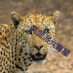 两面派六盲星 （扬威耀武）