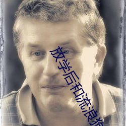 放学后和流浪狗做