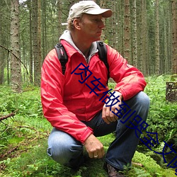 肉车做到哭全文阅读