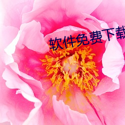 米乐M6·(中国)官方网站