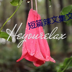 短篇辣文集文趣阁