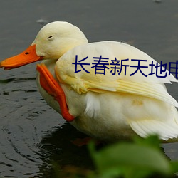 长春新天地电影院 秣马脂车）