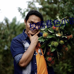 校园春色小说