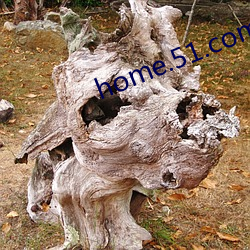 home.51.com