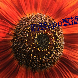 奶昔app直播下載