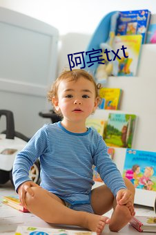 阿宾txt