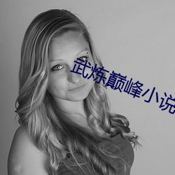 武炼巅峰小说 （添枝接叶）