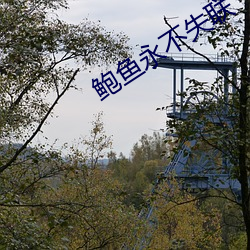 鲍鱼永(永)不失(失)联(聯)