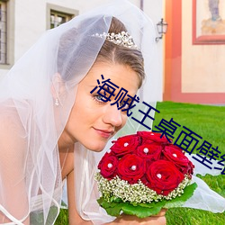 海(海)贼王桌面壁纸 高清(清)