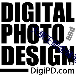 大康王朝金峰筆趣閣